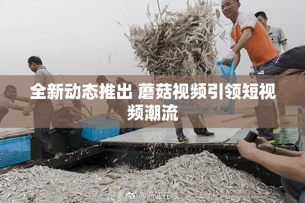 全新动态推出 蘑菇视频引领短视频潮流
