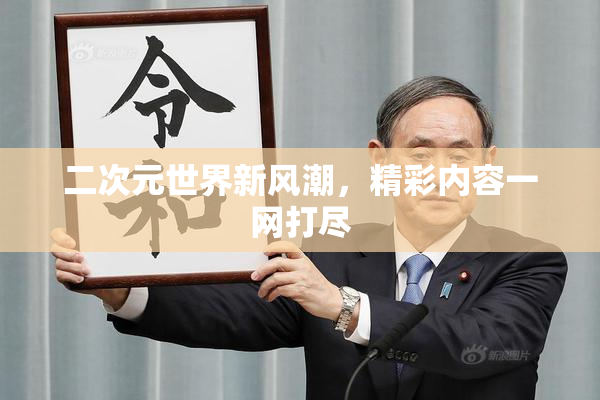 二次元世界新风潮，精彩内容一网打尽