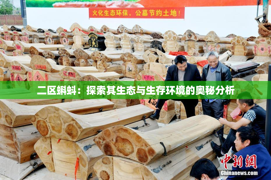 二区蝌蚪：探索其生态与生存环境的奥秘分析