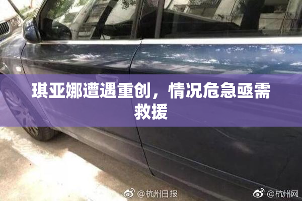 琪亚娜遭遇重创，情况危急亟需救援