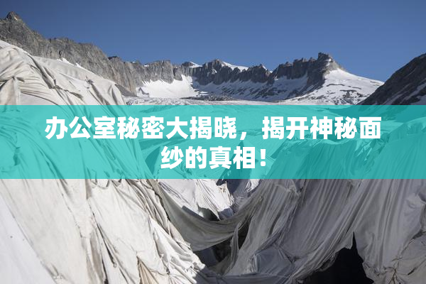 办公室秘密大揭晓，揭开神秘面纱的真相！