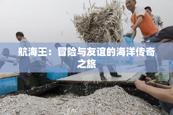 航海王：冒险与友谊的海洋传奇之旅