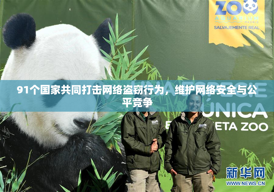 91个国家共同打击网络盗窃行为，维护网络安全与公平竞争