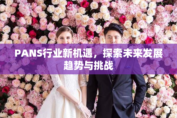 PANS行业新机遇，探索未来发展趋势与挑战