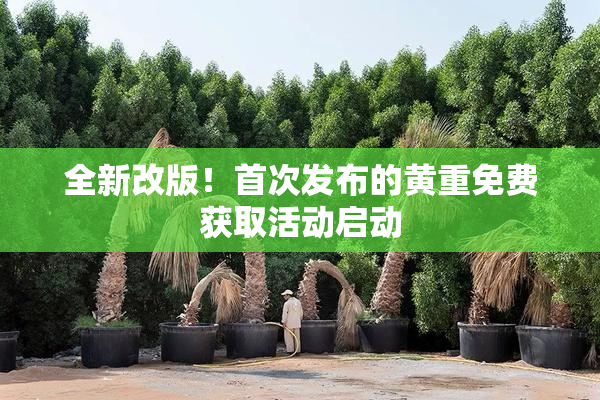 全新改版！首次发布的黄重免费获取活动启动