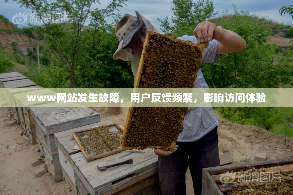 www网站发生故障，用户反馈频繁，影响访问体验
