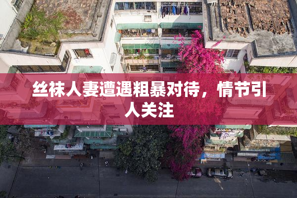 丝袜人妻遭遇粗暴对待，情节引人关注