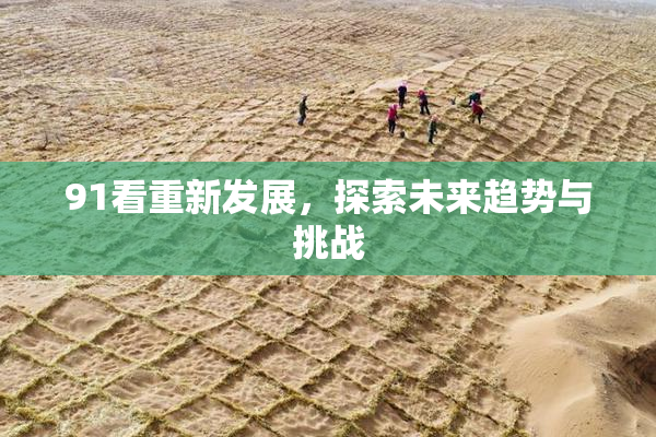 91看重新发展，探索未来趋势与挑战