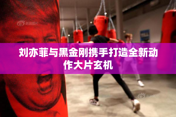 刘亦菲与黑金刚携手打造全新动作大片玄机