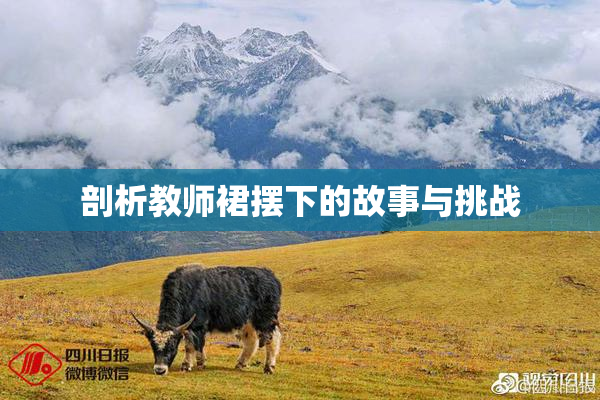 剖析教师裙摆下的故事与挑战