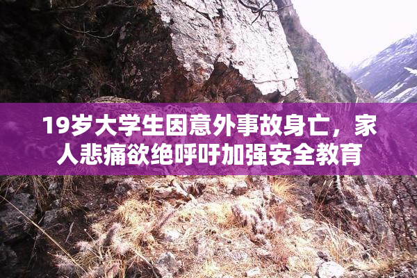 19岁大学生因意外事故身亡，家人悲痛欲绝呼吁加强安全教育