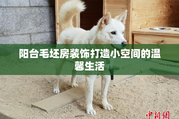 阳台毛坯房装饰打造小空间的温馨生活