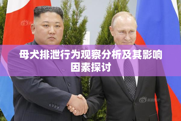 母犬排泄行为观察分析及其影响因素探讨