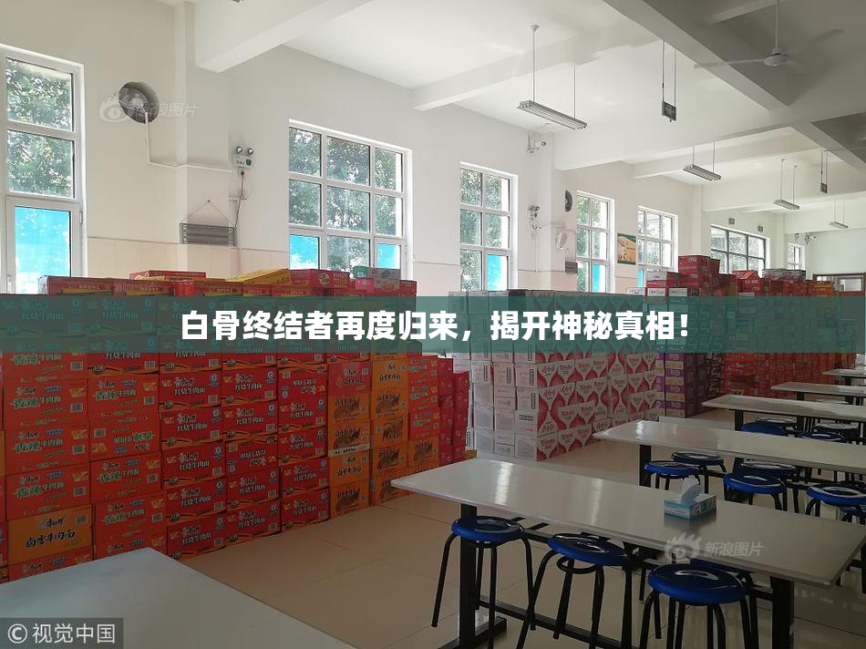 白骨终结者再度归来，揭开神秘真相！