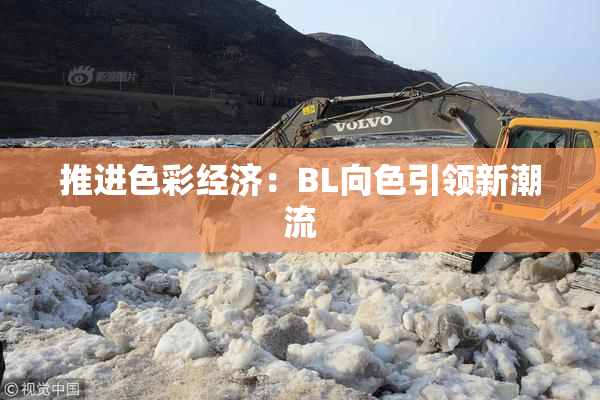 推进色彩经济：BL向色引领新潮流