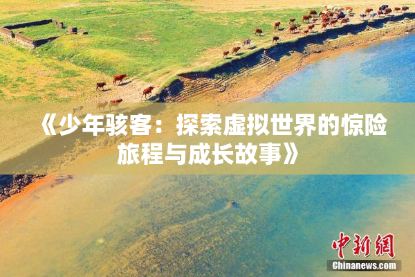 《少年骇客：探索虚拟世界的惊险旅程与成长故事》