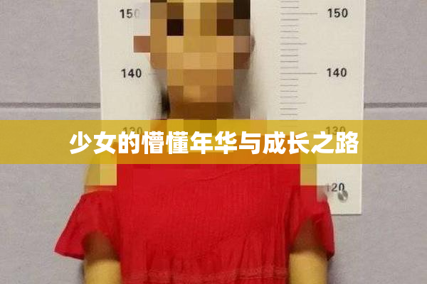 少女的懵懂年华与成长之路