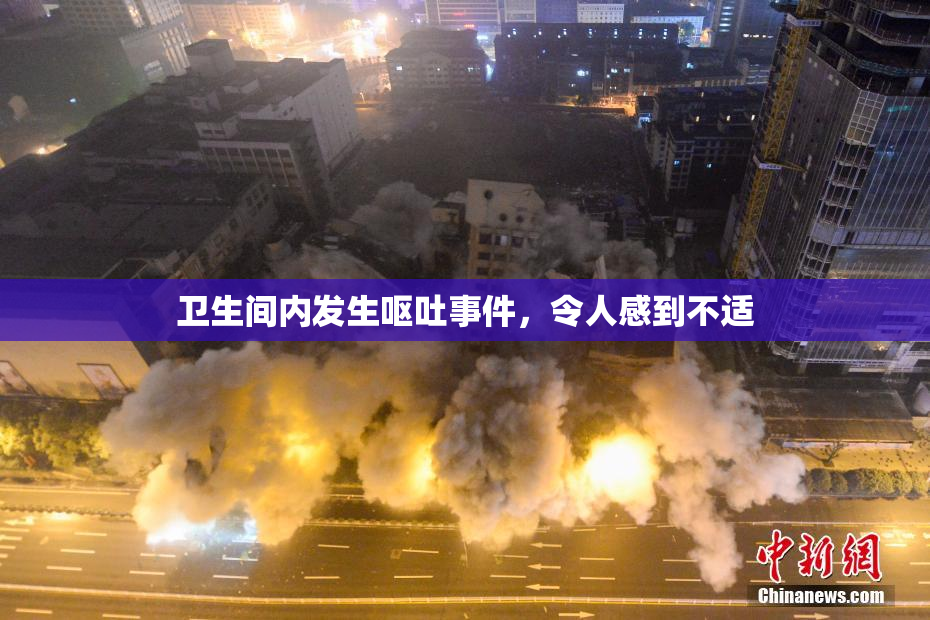 卫生间内发生呕吐事件，令人感到不适