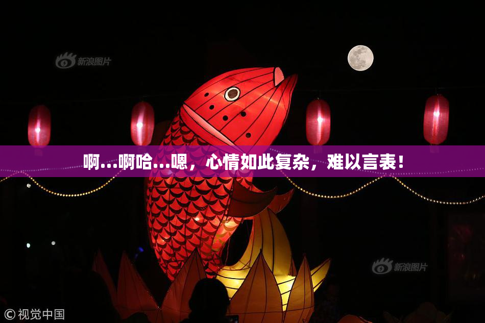 啊…啊哈…嗯，心情如此复杂，难以言表！