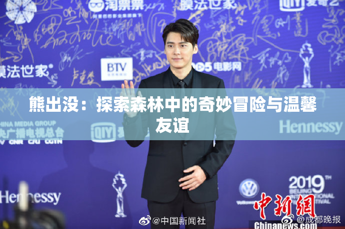 熊出没：探索森林中的奇妙冒险与温馨友谊