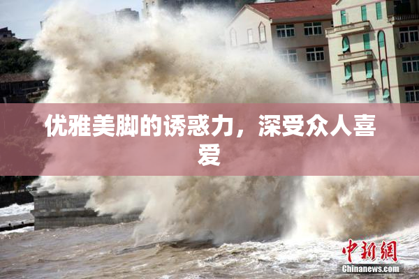 优雅美脚的诱惑力，深受众人喜爱