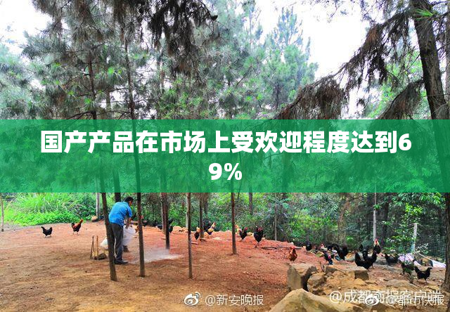 国产产品在市场上受欢迎程度达到69%