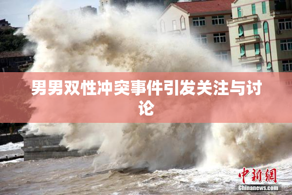 男男双性冲突事件引发关注与讨论