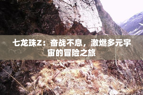 七龙珠Z：奋战不息，激燃多元宇宙的冒险之旅