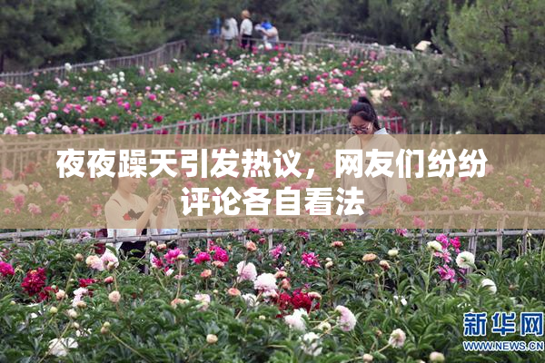 夜夜躁天引发热议，网友们纷纷评论各自看法