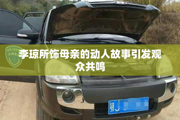 李琼所饰母亲的动人故事引发观众共鸣