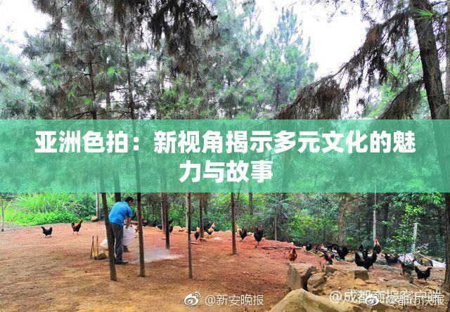 亚洲色拍：新视角揭示多元文化的魅力与故事