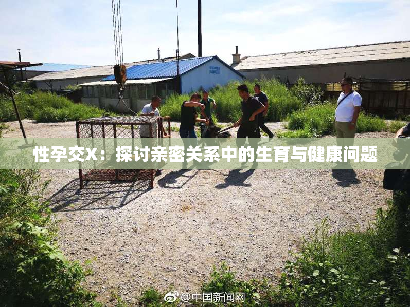 性孕交X：探讨亲密关系中的生育与健康问题