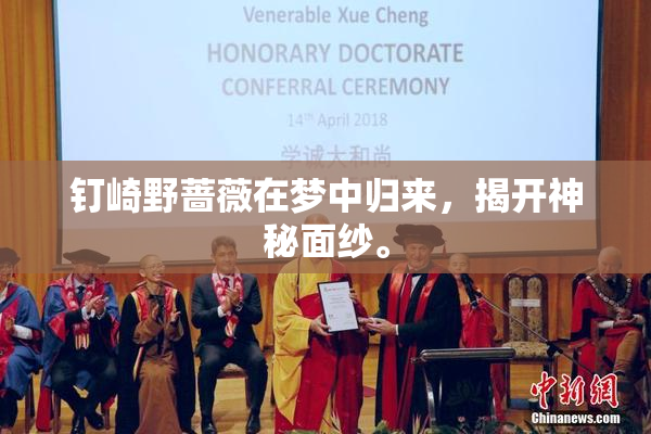 钉崎野蔷薇在梦中归来，揭开神秘面纱。