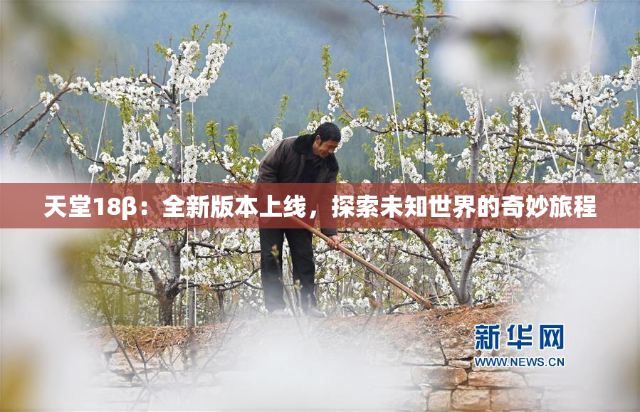 天堂18β：全新版本上线，探索未知世界的奇妙旅程
