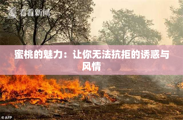 蜜桃的魅力：让你无法抗拒的诱惑与风情