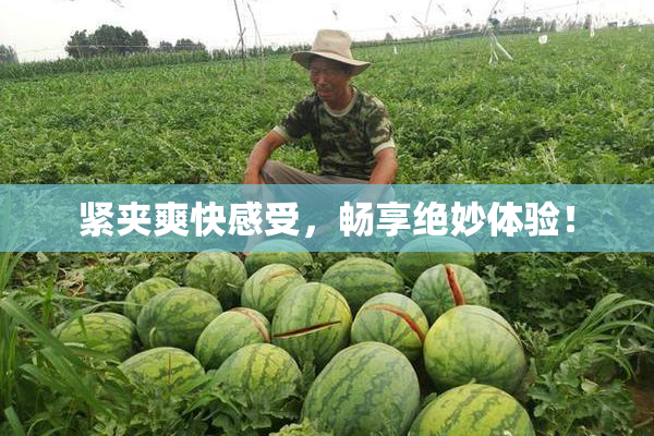 紧夹爽快感受，畅享绝妙体验！