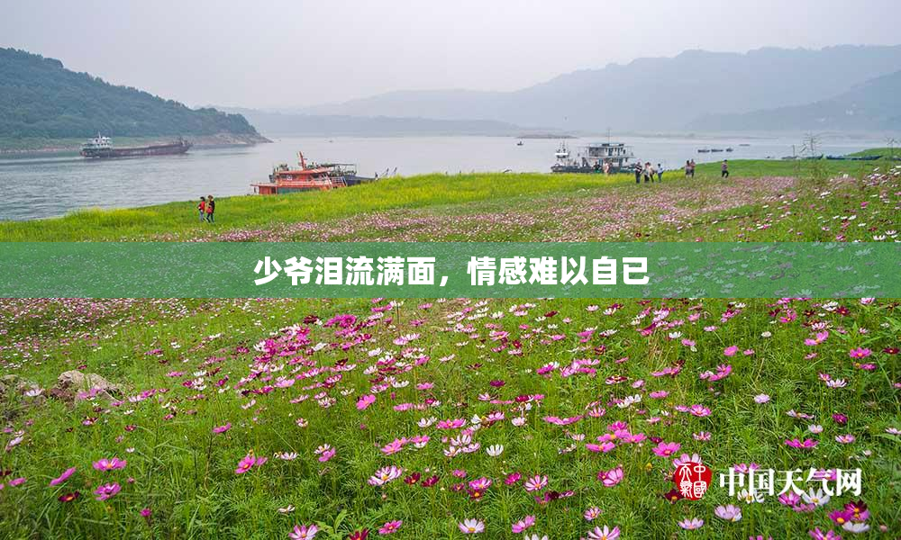 少爷泪流满面，情感难以自已