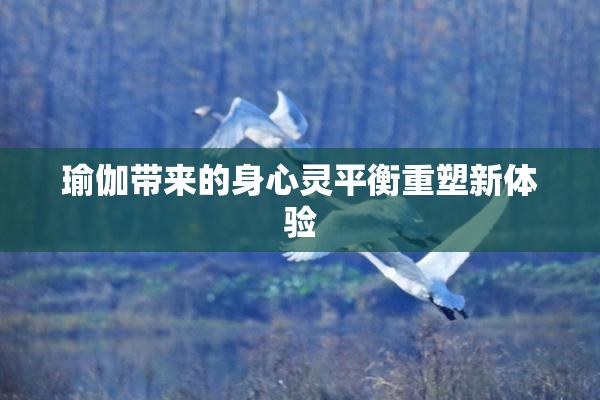 瑜伽带来的身心灵平衡重塑新体验