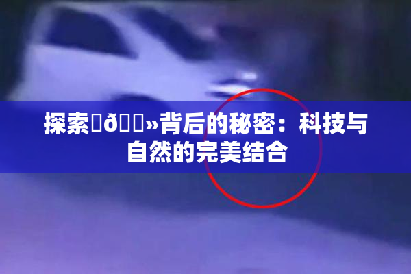 探索‌🐻背后的秘密：科技与自然的完美结合