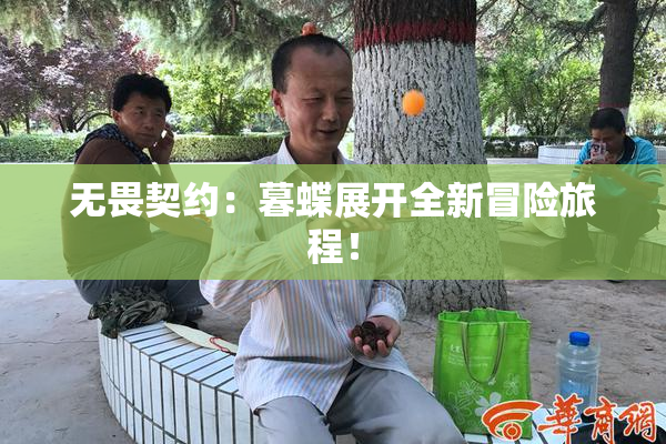 无畏契约：暮蝶展开全新冒险旅程！