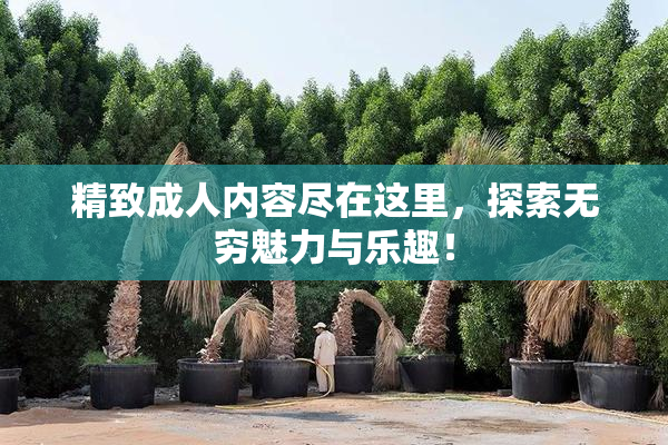 精致成人内容尽在这里，探索无穷魅力与乐趣！