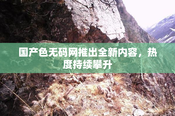 国产色无码网推出全新内容，热度持续攀升