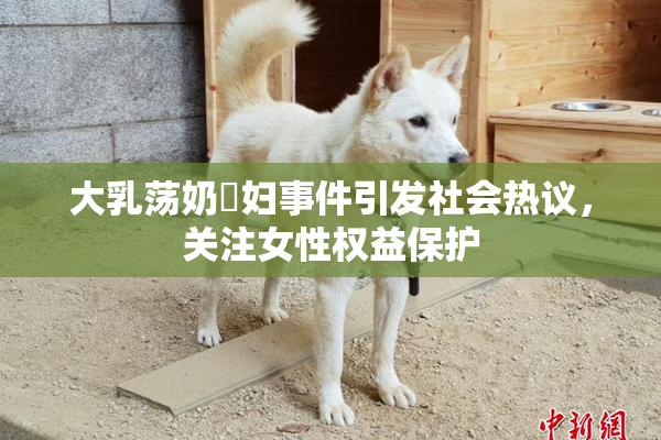 大乳荡奶婬妇事件引发社会热议，关注女性权益保护