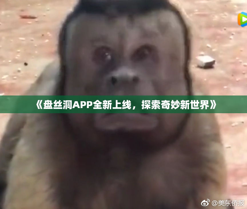 《盘丝洞APP全新上线，探索奇妙新世界》