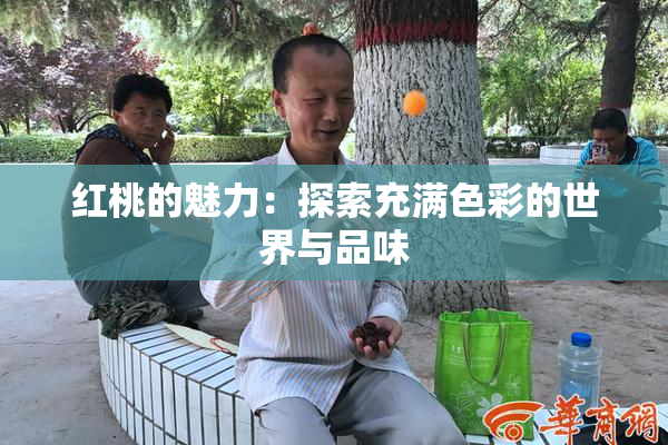 红桃的魅力：探索充满色彩的世界与品味