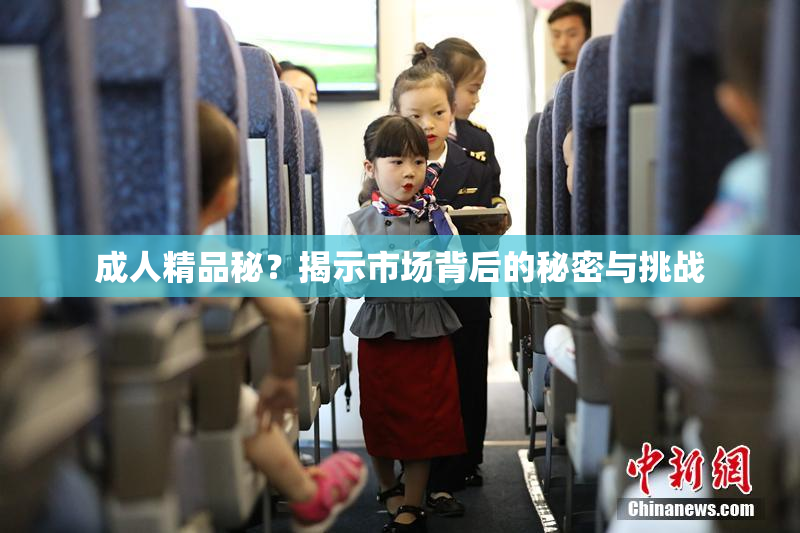 成人精品秘？揭示市场背后的秘密与挑战