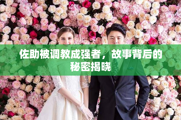 佐助被调教成强者，故事背后的秘密揭晓