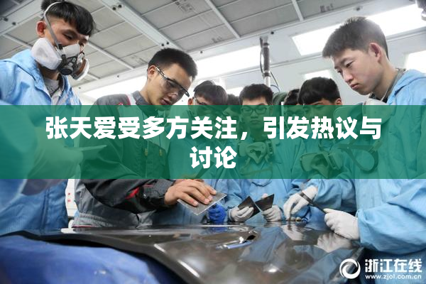 张天爱受多方关注，引发热议与讨论