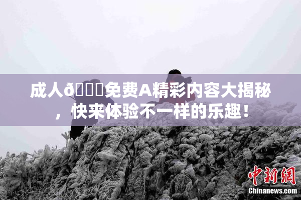 成人🔞免费A精彩内容大揭秘，快来体验不一样的乐趣！