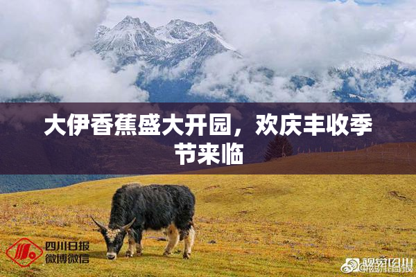 大伊香蕉盛大开园，欢庆丰收季节来临